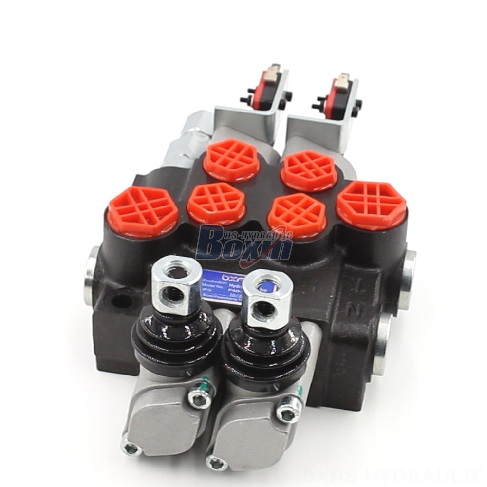 Custom Hydraulic Solutions: Design & Manufacture P40 Valves to Your Specifications main image